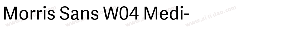 Morris Sans W04 Medi字体转换